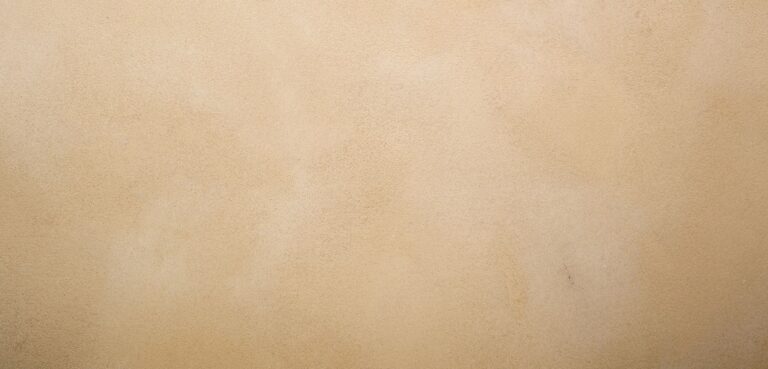 Suede Polished Plaster Finish