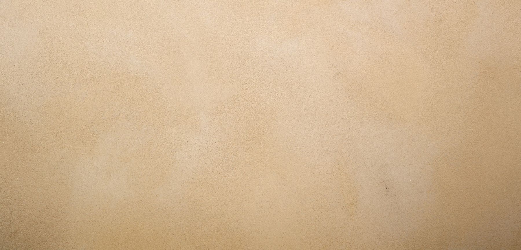 Suede Polished Plaster Finish