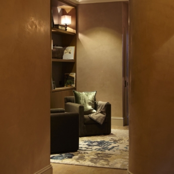 Venetian plaster Duplex Project