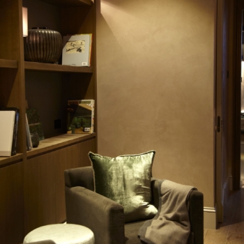 Venetian plaster Duplex Project