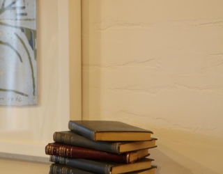 Dune Colori Polished Plaster